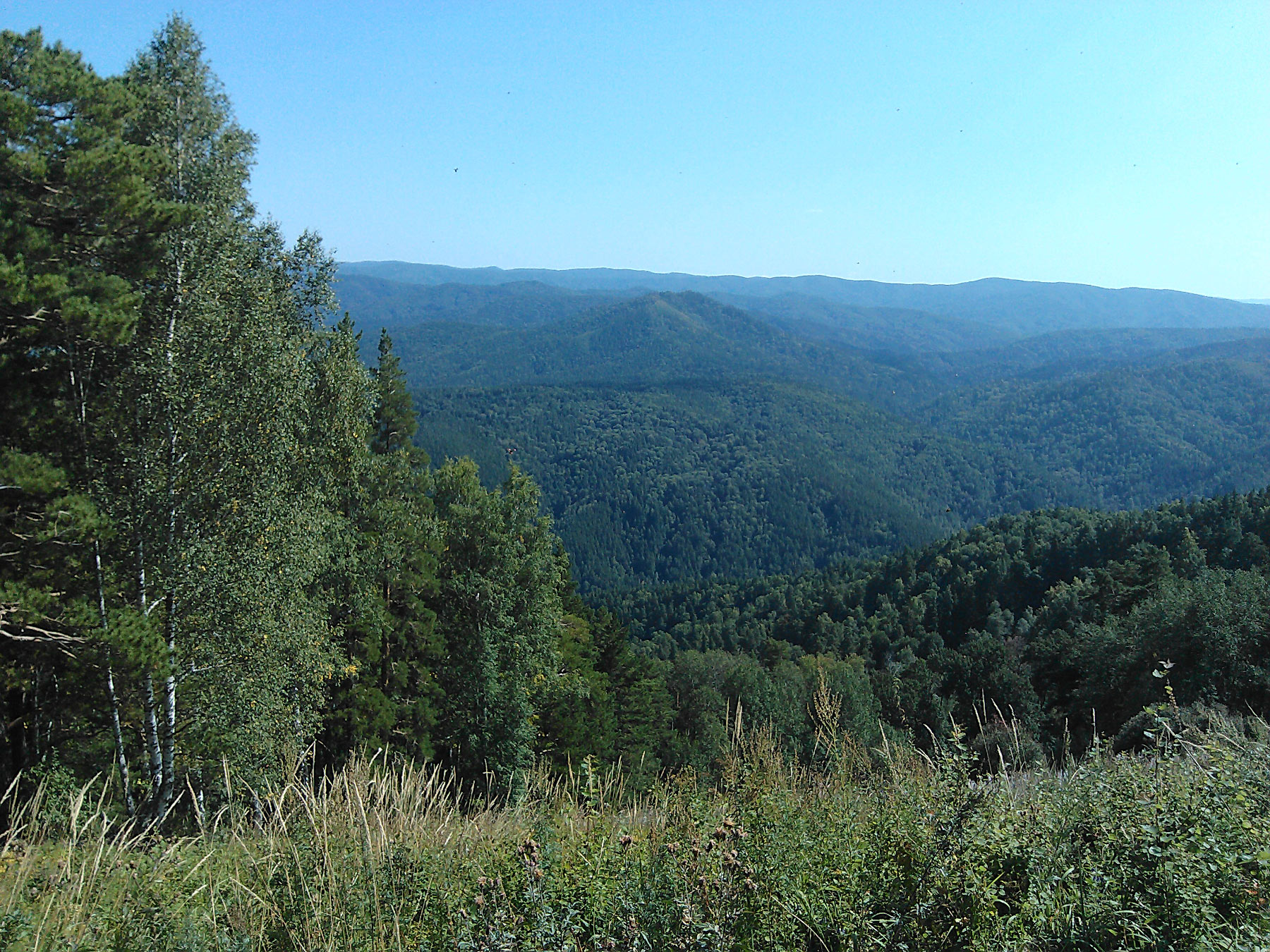 Belokurikha (Белокуриха)